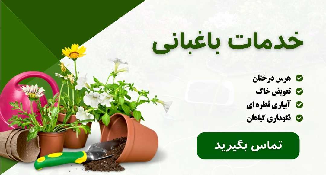 هرس درختان و خدمات باغبانی